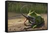 A Large Beelzebufo Frog Eating a Small Masiakasaurus-null-Framed Stretched Canvas