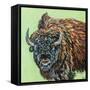 A Large Bison-Carolee Vitaletti-Framed Stretched Canvas