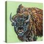 A Large Bison-Carolee Vitaletti-Stretched Canvas