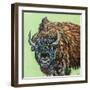 A Large Bison-Carolee Vitaletti-Framed Art Print