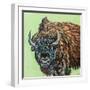 A Large Bison-Carolee Vitaletti-Framed Art Print