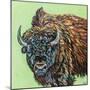 A Large Bison-Carolee Vitaletti-Mounted Art Print