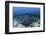 A Large Black-Blotched Stingray Swims over the Rocky Seafloor-Stocktrek Images-Framed Premium Photographic Print