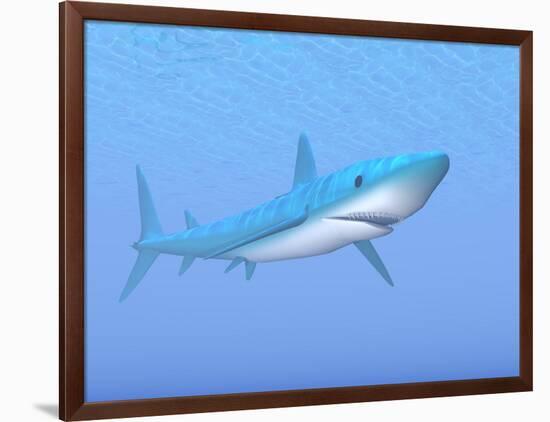 A Large Blue Shark Swimming Quietly Underwater-null-Framed Art Print