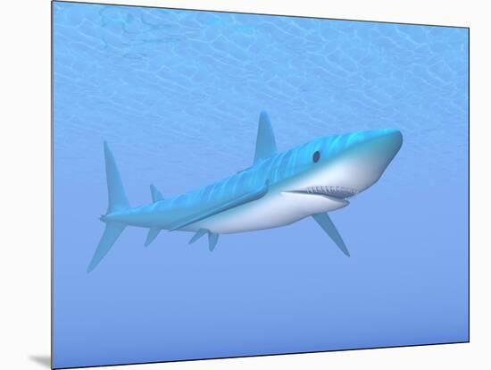 A Large Blue Shark Swimming Quietly Underwater-null-Mounted Art Print