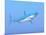 A Large Blue Shark Swimming Quietly Underwater-null-Mounted Art Print