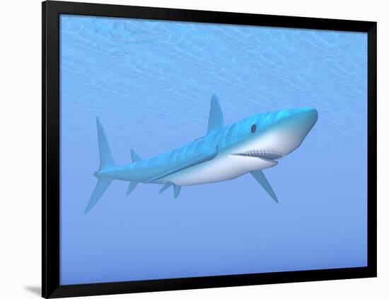 A Large Blue Shark Swimming Quietly Underwater-null-Framed Art Print