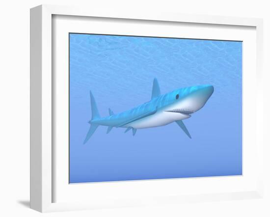 A Large Blue Shark Swimming Quietly Underwater-null-Framed Art Print