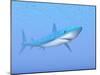 A Large Blue Shark Swimming Quietly Underwater-null-Mounted Art Print