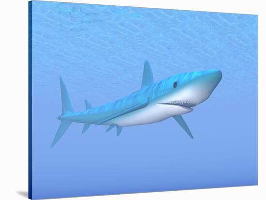 A Large Blue Shark Swimming Quietly Underwater-null-Stretched Canvas