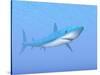 A Large Blue Shark Swimming Quietly Underwater-null-Stretched Canvas