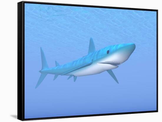 A Large Blue Shark Swimming Quietly Underwater-null-Framed Stretched Canvas