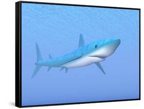 A Large Blue Shark Swimming Quietly Underwater-null-Framed Stretched Canvas