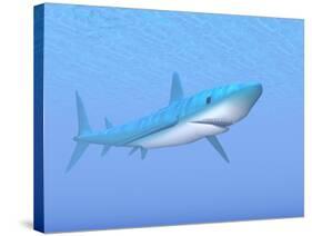 A Large Blue Shark Swimming Quietly Underwater-null-Stretched Canvas