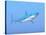 A Large Blue Shark Swimming Quietly Underwater-null-Stretched Canvas