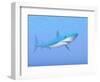 A Large Blue Shark Swimming Quietly Underwater-null-Framed Art Print