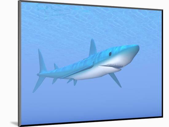 A Large Blue Shark Swimming Quietly Underwater-null-Mounted Art Print