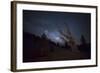 A Large Bristlecone Pine in the Patriarch Grove Bears Witness to the Rising Milky Way-null-Framed Photographic Print