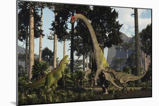 A Large Chubutisaurus Is a Attacked by a Pair of Tyrannotitans-Stocktrek Images-Mounted Art Print