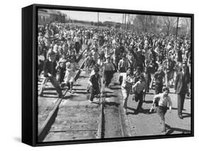 A Large Crowd of People Running Through the Streets During the Dodge City Parade-Peter Stackpole-Framed Stretched Canvas