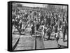 A Large Crowd of People Running Through the Streets During the Dodge City Parade-Peter Stackpole-Framed Stretched Canvas