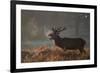 A Large Deer Stag Calls Out in the Mist-Alex Saberi-Framed Photographic Print