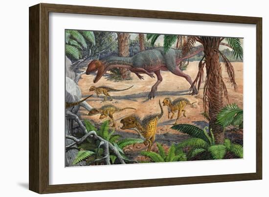 A Large Dracovenator Chasing a Group of Heterodontosaurus Dinosaurs-null-Framed Art Print