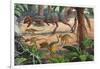 A Large Dracovenator Chasing a Group of Heterodontosaurus Dinosaurs-null-Framed Art Print