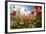 A Large Field of Poppies and Daisies Near Newark in Nottinghamshire, England Uk-Tracey Whitefoot-Framed Photographic Print