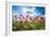 A Large Field of Poppies Near Newark in Nottinghamshire, England Uk-Tracey Whitefoot-Framed Photographic Print