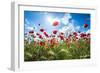 A Large Field of Poppies Near Newark in Nottinghamshire, England Uk-Tracey Whitefoot-Framed Premium Photographic Print