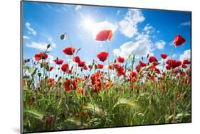 A Large Field of Poppies Near Newark in Nottinghamshire, England Uk-Tracey Whitefoot-Mounted Premium Photographic Print