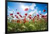 A Large Field of Poppies Near Newark in Nottinghamshire, England Uk-Tracey Whitefoot-Framed Photographic Print