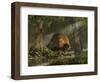 A Large Glyptodon Stands Near the Edge of a Stream-null-Framed Art Print