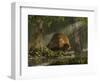 A Large Glyptodon Stands Near the Edge of a Stream-null-Framed Art Print