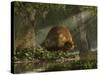 A Large Glyptodon Stands Near the Edge of a Stream-null-Stretched Canvas