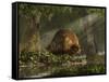 A Large Glyptodon Stands Near the Edge of a Stream-null-Framed Stretched Canvas