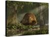 A Large Glyptodon Stands Near the Edge of a Stream-null-Stretched Canvas