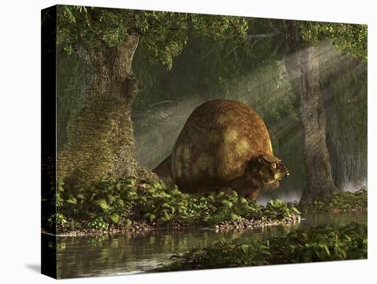 A Large Glyptodon Stands Near the Edge of a Stream-null-Stretched Canvas