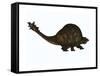 A Large Glyptodont from the Pleistocene Epoch-null-Framed Stretched Canvas