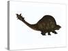 A Large Glyptodont from the Pleistocene Epoch-null-Stretched Canvas