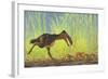 A Large Kalenken Flightless Terror Bird Hunting Smaller Eurohippus-null-Framed Art Print