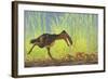 A Large Kalenken Flightless Terror Bird Hunting Smaller Eurohippus-null-Framed Art Print