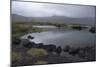 A Large Landscape View over an Estuary in Budir, Iceland-Natalie Tepper-Mounted Photo