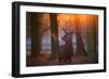 A Large Majestic Red Deer Stag in the Orange Early Morning Glow in Richmond Park-Alex Saberi-Framed Photographic Print