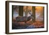 A Large Majestic Red Deer Stag in the Orange Early Morning Glow in Richmond Park-Alex Saberi-Framed Photographic Print