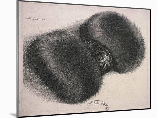 A Large Muff with a Band of Brocade, 1647-Wenceslaus Hollar-Mounted Giclee Print