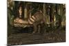 A Large Prestosuchus Moves Through the Brush-Stocktrek Images-Mounted Art Print