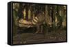 A Large Prestosuchus Moves Through the Brush-Stocktrek Images-Framed Stretched Canvas