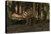 A Large Prestosuchus Moves Through the Brush-Stocktrek Images-Stretched Canvas